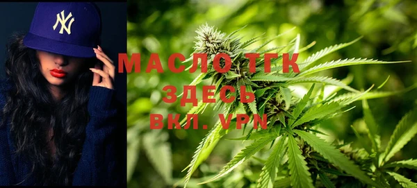 гашик Арсеньев