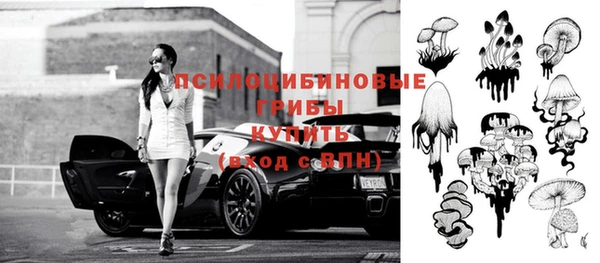 соль ск Алзамай