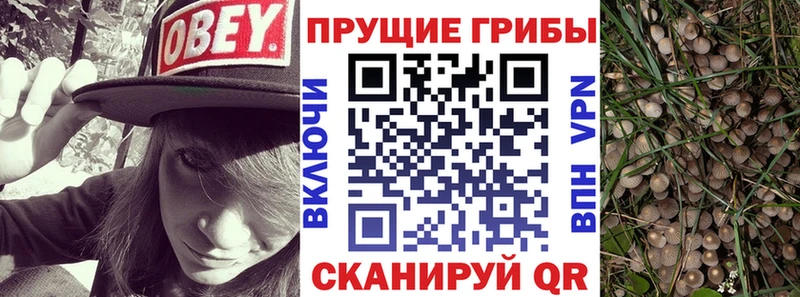 KRAKEN онион  как найти закладки  Красный Кут  Псилоцибиновые грибы мухоморы 
